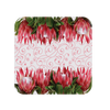 Protea Square Coaster (010)
