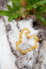 Amber Teething Necklace